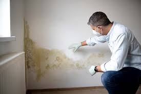 Why You Should Choose Our Mold Remediation Services in Warm Springs, OR